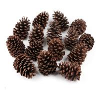 12Pcs Natural Fir Pine Cones 3" TO 4.5" Tall Large Pine Cones Ornaments for Crafts DIY Florist Xmas Wreaths Garlands Wedding Christmas Tree Decoration