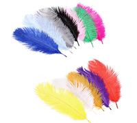 12Pcs Natural Ostrich Feather 9.8-11.8inch(25-30cm) for DIY Gatsby Decorations, Wedding, Holiday Party, Masquerade(12 Color)