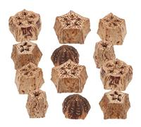 12pcs Natural Parrot Chew for Cage Birds Foraging Shredding Blocks for Mental Stimulation Safe Healthy Biting for Parakeets Macaws and Budgies