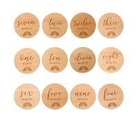 12pcs Newborn Baby Monthly Wooden Discs Cards Photo Props