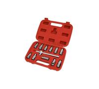 12pcs Oil Drain Plug Key Set (Genuine Neilsen CT4171)
