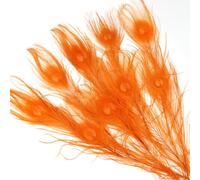 12PCS Orange Peacock Eye Feathers10-12 inch(25-30 cm) for DIY Craft, Wedding Holiday Christmas Decoration