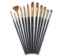 12Pcs Paint Brushes, Sable Watercolor Brushes, Detail Watercolour Brushes Set, Professional Multi-Shaped Artist Paint Brush, for Acrylic/Watercolor/Oil Painting/Gouache Painting (Black)