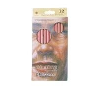 12Pcs Professional Soft Pastel Pencils Wood Skin Tint Pastel Colored Pencil Drawing Tools for Artists Templates for Shapes Drafting Tools and Supplies Templates Organic Chemistry Stencil Drafting Kit