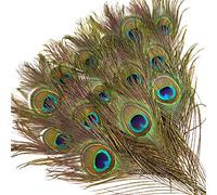 12PCS Real Natural Peacock Eye Feathers10-12 inch(25-30 cm) for DIY Craft, Wedding Holiday Christmas Decoration