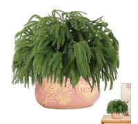 12Pcs Real Touch Norfolk Pine Branch, 45cm Artificial Christmas Norfolk Branches, Faux Greenery Stem Fake Cedar Pine Picks for Vase DIYs Crafts Garland Wreath Christmas Indoor Outdoor Home Decor