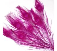 12PCS Rose Peacock Eye Feathers10-12 inch(25-30 cm) for DIY Craft, Wedding Holiday Christmas Decoration