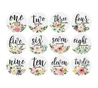 12PCS/Set Baby Month Sticker Newborn Photo Prop Stickers 1-12 Months Photo Birthday Party Decorations for Kid Monthly Unisex for Shower for Each Boy Monthly Calendar Animal