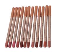 12PCS Smooth Lipliner Set Professional Vibrant Colors Lipliner Set Long Lasting Lip Liner Pencil for Women Portable Lip Makeup Pencil for Daily Use