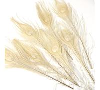 12PCS White Peacock Eye Feathers10-12 inch(25-30 cm) for DIY Craft, Wedding Holiday Christmas Decoration