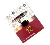 12Pcs Woodless Watercolor Pencil Set for Portrait Drawing Coloring Art Illustrations 12 Color Oil Based Colored Pencil Smooth Writing Pencils