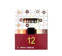 12Pcs Woodless Watercolor Pencil Set for Portrait Drawing Coloring Art Illustrations 12 Color Oil Based Colored Pencil Art Supplies