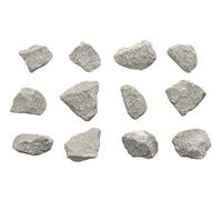 12PK Oolitic Limestone, Sedimentary Rock Specimens - Approx. 1" - Geologist Selected & Hand Processed - Great for Science Classrooms - Class Pack - Eisco Labs
