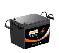 12V/12.8V 100AH 300AH LiFePO4 Battery, 100A BMS, 15000 Deep Cycles Rechargeable Lithium Battery for Home Energy Storage, Rvs, Marine, Vans, Trailer, Backup