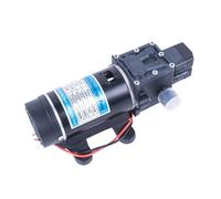 12V 24V 120W 130PSI 10L/min High Water Pressure Diaphragm Self Priming Spray Pump for Car Wash