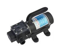 12V 24V 120W 130PSI 10L / Min Water High Pressure Diaphragm Self-Priming Pump Sprayer Car Wash High Flow(12,3210H2D)