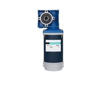 12V/24V 300W NMRV40 DC Worm Gear Motor With Dual Output Shaft RV40 Speed Adjustable CW CCW DC Motor(210rpm,12V)