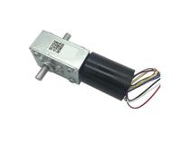 12V 24V Double Shaft Bldc Motor Worm Gear Motor 1Pcs(80rpm,24V)