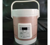 12v 24v Mini Rice Cooker Car Truck Soup Porridge Cooking Machine Food Steamer Electric Heating Lunch Box Meal Heater Warmer1.2l
