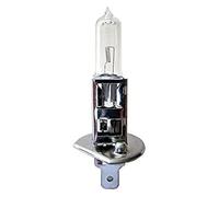 12V 55W P14.5S H1 Halogen Headlight / Headlamp Bulbs 448 Pack of 2