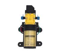12V Electric Diaphragm Pump for Sprayer Repair, Smart Pump