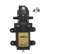 12V Electric Water Pump for Agricultural Sprayer, Dual Core Motor, Self-Priming, Accessories for High Pressure Pesticide Machine.(A)