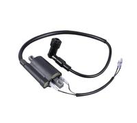 12V Ignition Coil Replacement Compatible With Vintage Motorcycles