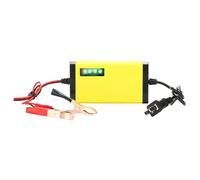 12V Intelligent Dry Water Charge Automatic Machine Preservation Charger, Maintenance Charger for Motorcycle Batteries | Auto Parts MUL Manufacturer