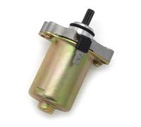 12V Starter Motor Fit For 491 RR SBK 491 Sport 491 ST Rage Atlantis50 Hunter 50 Paddock 50 Predator 50