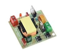 12V to 220V Step UP Power Module 40W Inverter Double Channel Inverse Converter Module Power Regulator Double Output Potential Processor