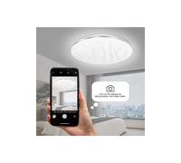 12W LED Ceiling Light, 26cm, 6500K Living and Home White One Size