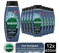 12x Radox Mineral Therapy Feel Energised 2in1 Shower Gel & Shampoo for Men,450ml