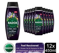 Radox Men Feel Recovered 2-in-1 Shower Gel & Shampoo 450ml