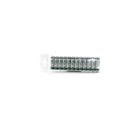 12x Saft LS 14500 AA 3.6 V Li-SOCl2 Batteries / 3.6 V Lithium Thionyl Chloride AA / R6 / For Highest Industrial Requirements in Vitamed Matthias Quin