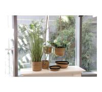 12x Seagrass Planter 3-Piece Set Basket Hanging Planter Flower Pots Plant Boxes