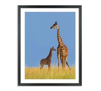 12x16 Diamond Painting Frames Solid Wood,Display Pictures 10x14 Inch25X35 cm with Mat or 12x16 Inch 30X40cm Without Mat, Diamond Art Picture Frame 12x16 inch Photo Frame Black (UKA22B1216W1014)