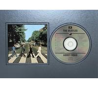 12x8 A4 CD Compact Disc Photo Sleeve Display Frame Case With Mount Matt For Photograph Picture Artwork In Metallic Gold - Silver - Black - Cream Music Gift (Metallic Silver Mount Without Frame)