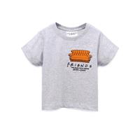 (13-14 Years) Friends Cropped Short Sleeved T-Shirt (Girls Grey)