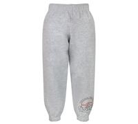 (13-14 Years, Grey) Pokemon Boys Trainer Academy Jogging Bottoms