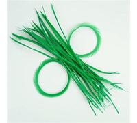 13-18cm Dyed Goose Feathers for Crafts Jewelry Creation DIY Handicraft Accessories Colored Geese Feather Natural Plume-Grass green-20Pcs