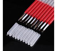 13 * 4 * 3 10pcs Beekeeping Honey Bee Larvae Chinese Grafting Tools Queen Rearing Equipment Beekeeping Supplies UK Queen Bee Rearing Equipment