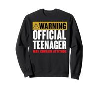 13 Birthday Official Teenager Boy 13yr Funny 13th Birthday Sweatshirt