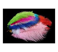 13 Colors Dyed Ostrich Feathers Herl Plume Fluffy Body Nymphs Thorax Collar Flies DIY Fly Fishing Tying Materials (13 pcs 13 colors)