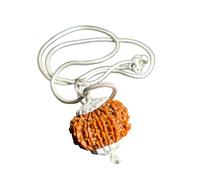 13 Mukhi Nepal Rudraksha Original Silver Pendant Chain Energized, Large 27mm-28mm, Rudraksha