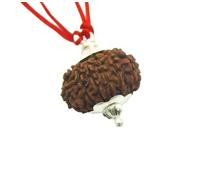 13 Mukhi Nepal Rudraksha Original Silver Pendant Energized, Small 24mm-25mm, Rudraksha