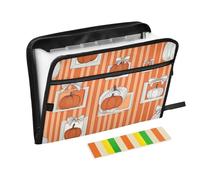 13 Pockets Expanding File Folder Colorful Moonlight Accordion Document Organizer with Sticky Labels Letter Size A4 Papers Expandable Filing Keeper Zipper Pouch Storage for Home School Office