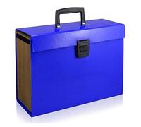 13 Pockets Expanding File Folder Large Space Design A4 Filing Folders Box File Business Home Office Document Accordion File Storage Bag with Clip Lock Free Standing (Blue)