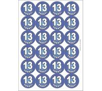 13 Thirteen Today Thirteenth 13th Birthday Circular Matt Paper Stickers A4 Sheet of 24 (Each Sticker is 45mm Diameter)