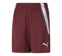(13 Years, Cordovan Red/White) Puma Childrens/Kids Team Liga Football Shorts