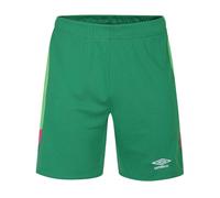 (13 Years, Green) Umbro Childrens/Kids Regular Football Goalkeeper Shorts